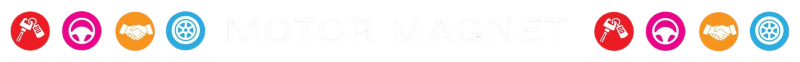 Motor Magnet